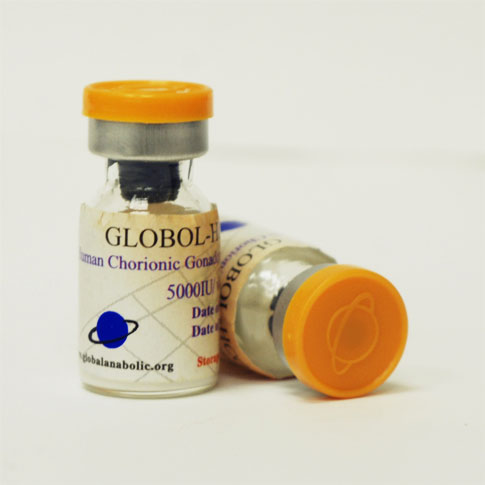 hcg-01globol.jpg